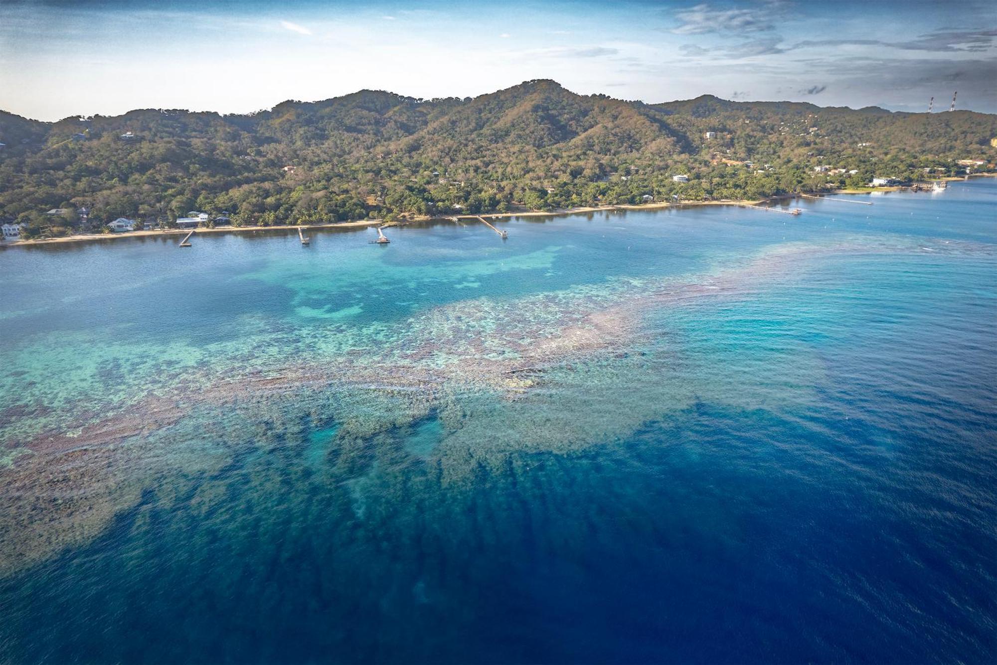 Puerta Azul Hotel Sandy Bay ภายนอก รูปภาพ